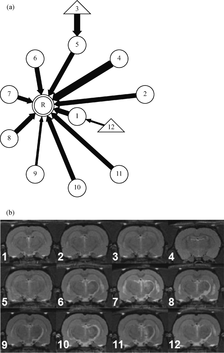 Fig. 17