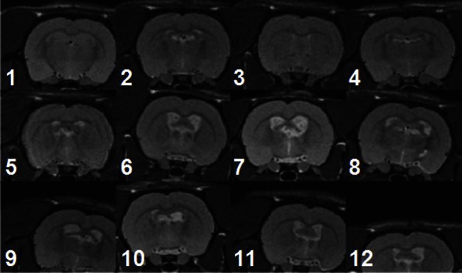 Fig. 9