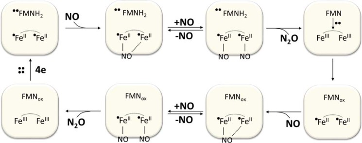 SCHEME 1.