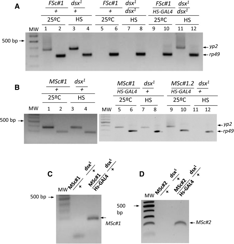 Figure 5