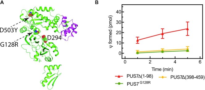 Figure 6.