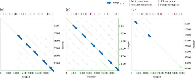 Figure 3. 