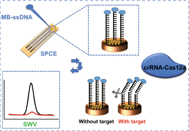 graphic file with name 40820_2022_888_Figa_HTML.jpg