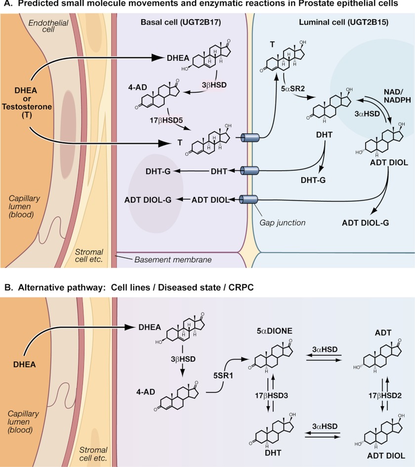 FIGURE 1.