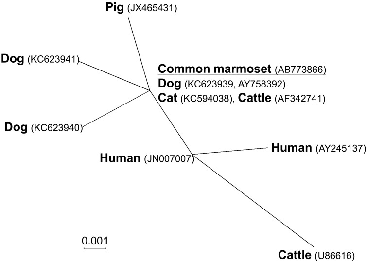 Fig. 3.