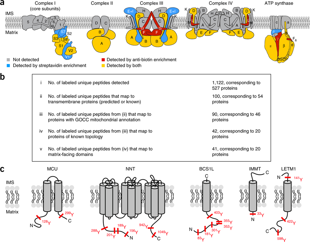 Figure 2 |