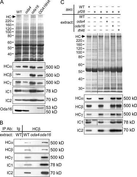 Figure 3.