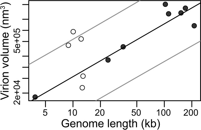 FIG 8