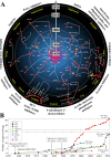 FIG 1