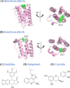 FIG 15