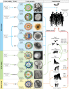 FIG 2