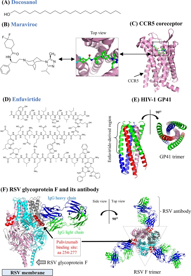 FIG 10