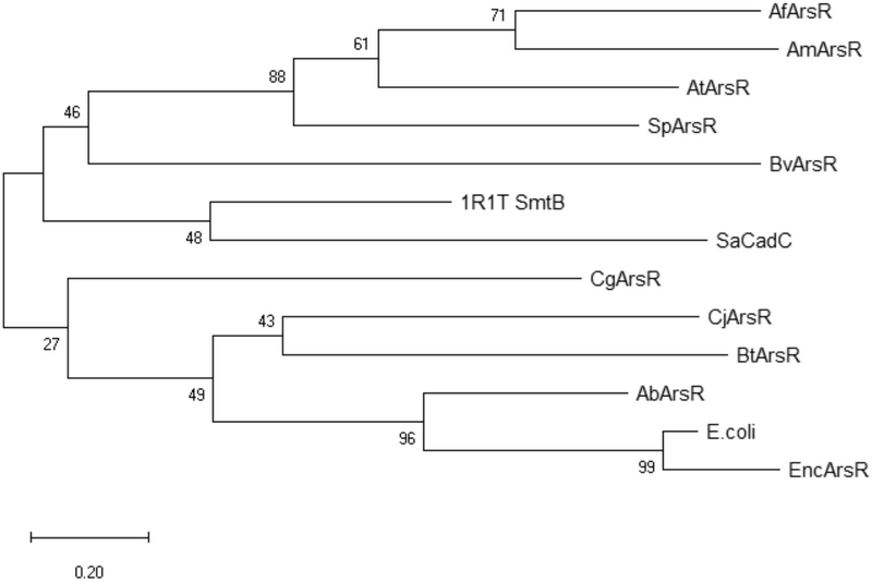 Figure 6: