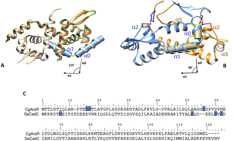 Figure 5: