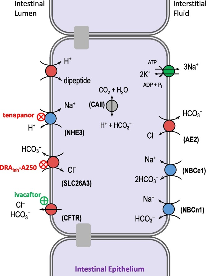 Fig. 10