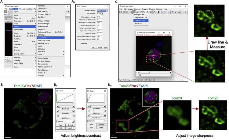 Figure 2