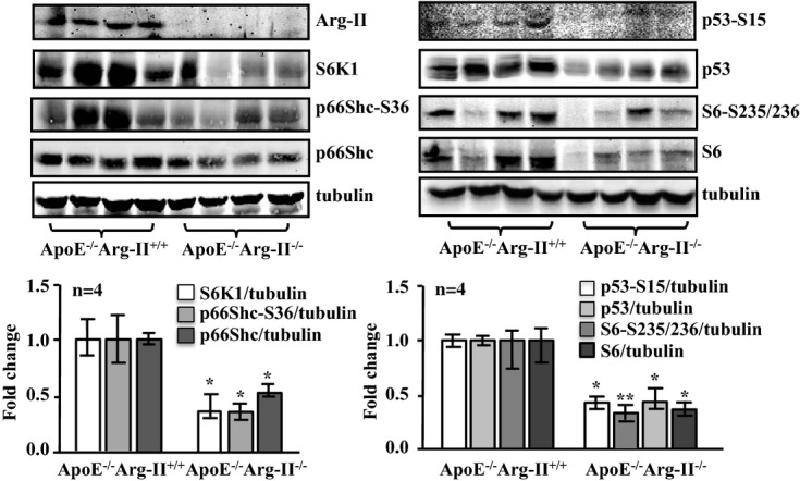 Figure 15.