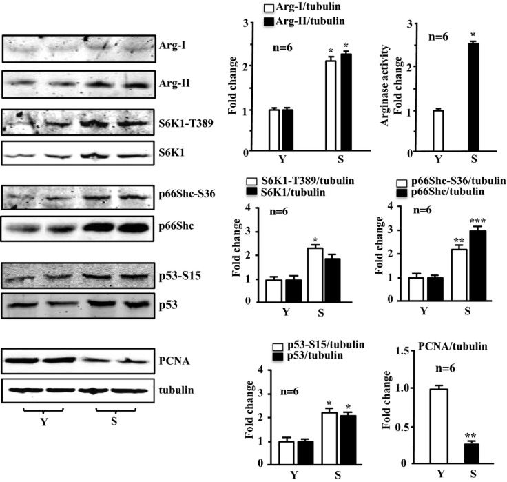 Figure 10.