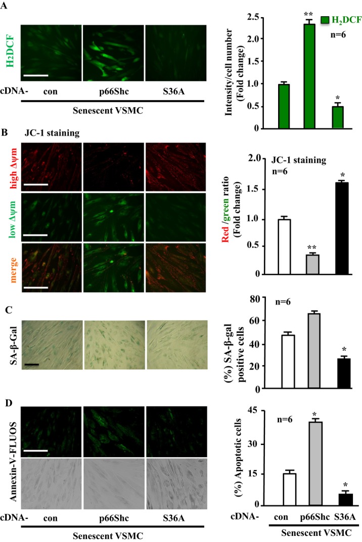 Figure 13.