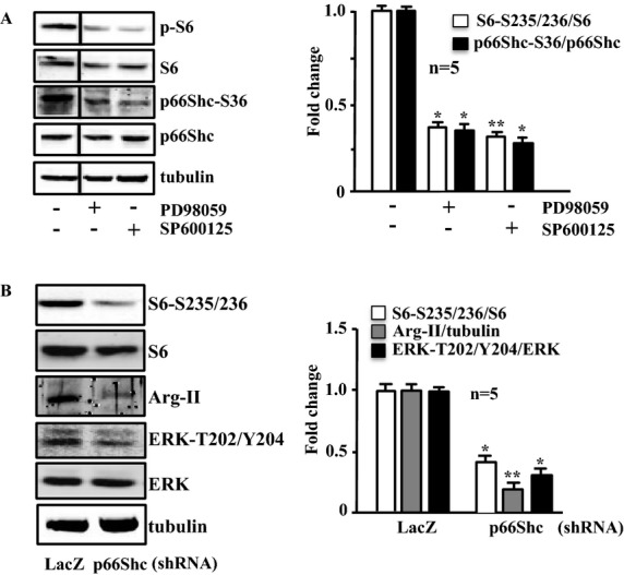 Figure 14.