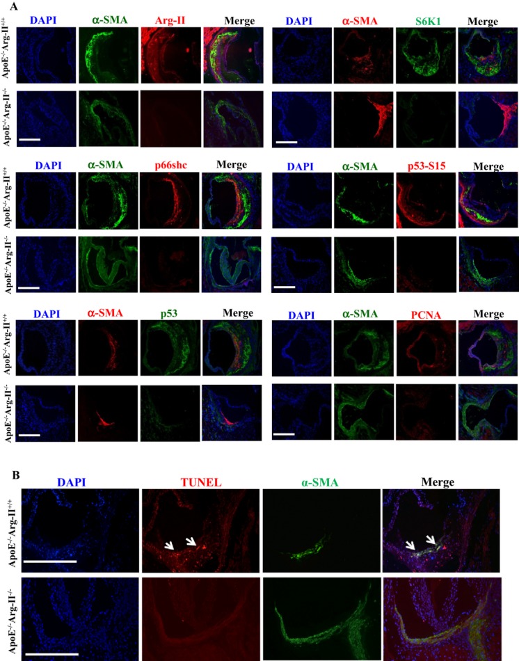 Figure 16.