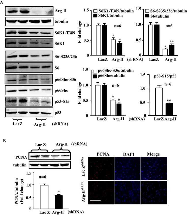 Figure 11.