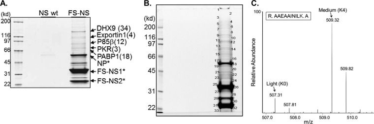 FIG 2