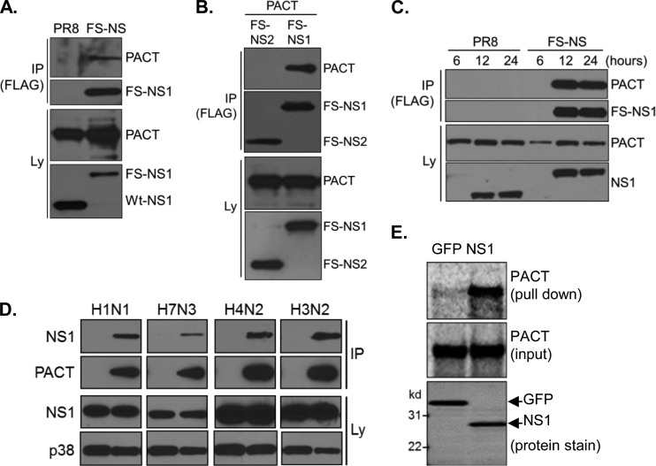 FIG 3