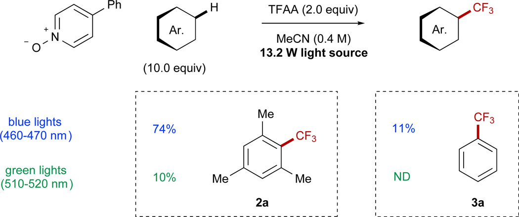 Scheme 5