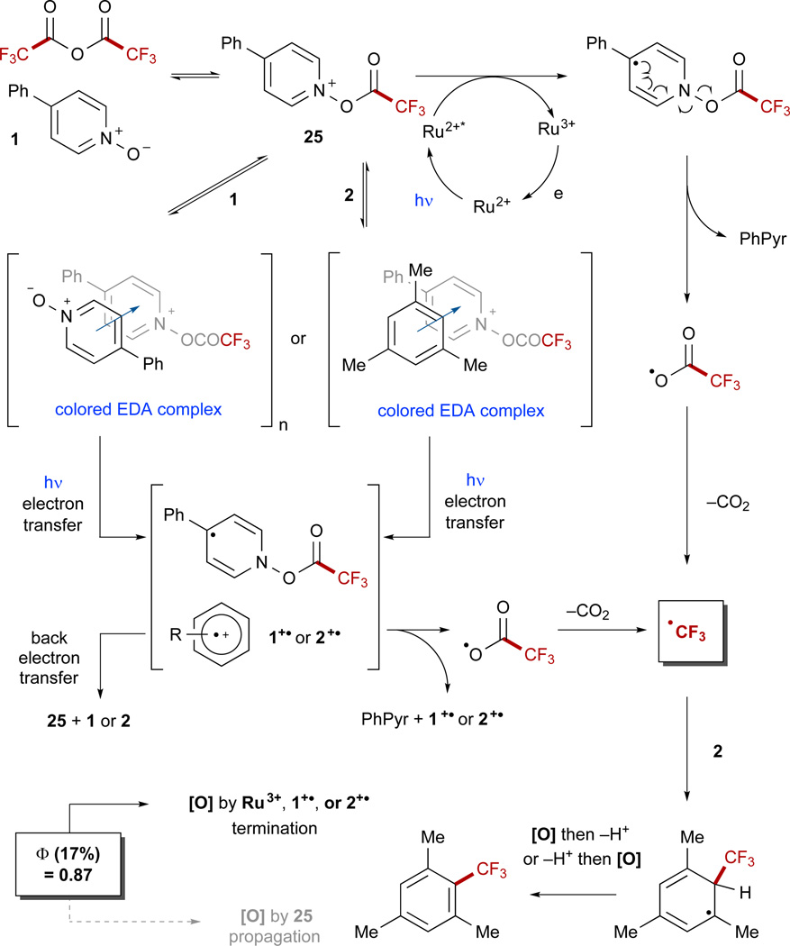 Scheme 6