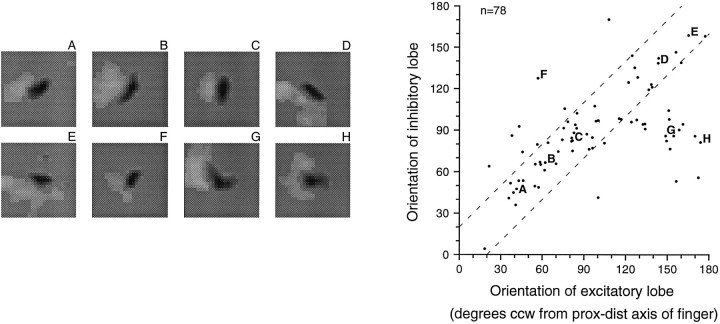 Fig. 10.