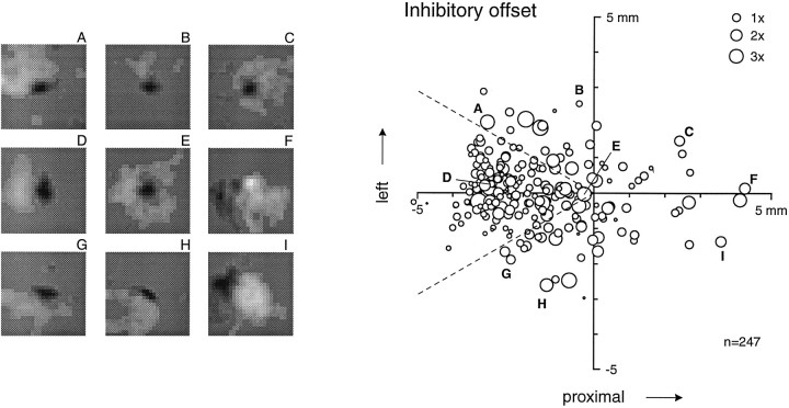 Fig. 8.