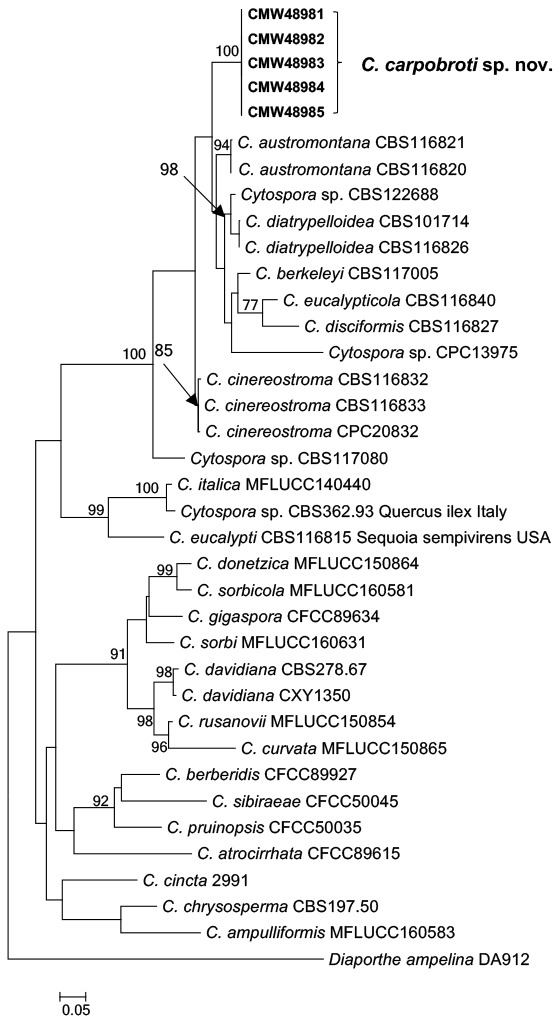 Fig. 2.