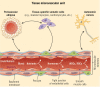 Graphical Abstract