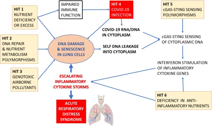 Fig. 6