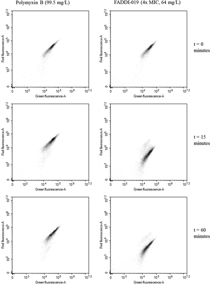 FIG 3 