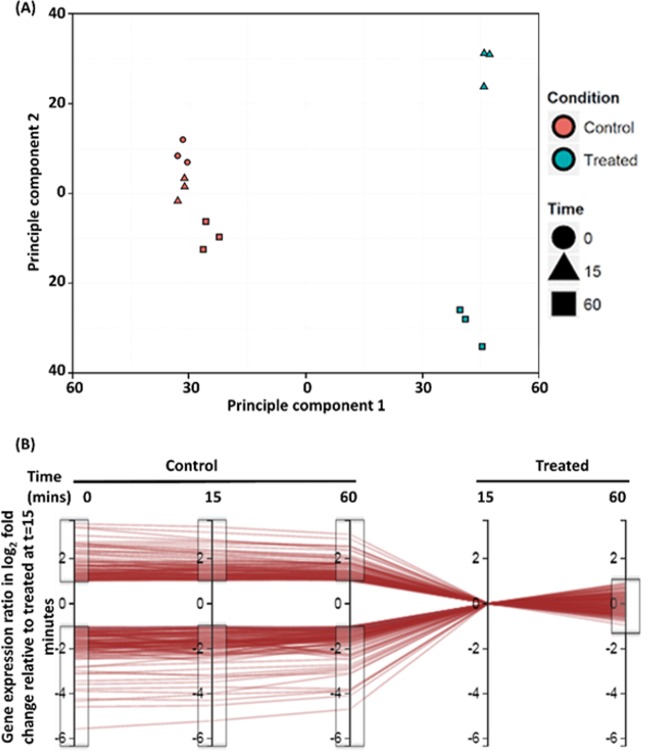 FIG 4 