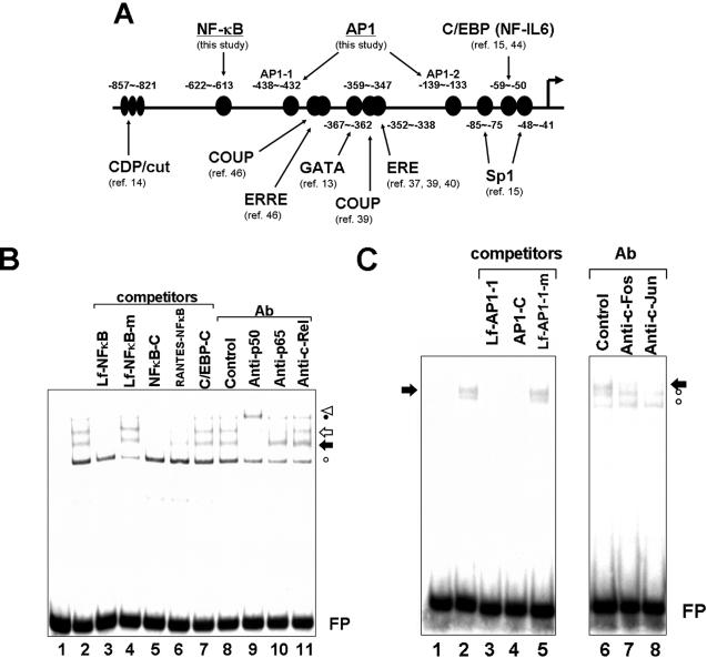 FIG. 4.