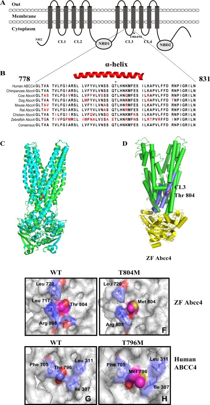 FIGURE 1.