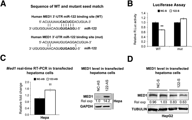 Figure 6