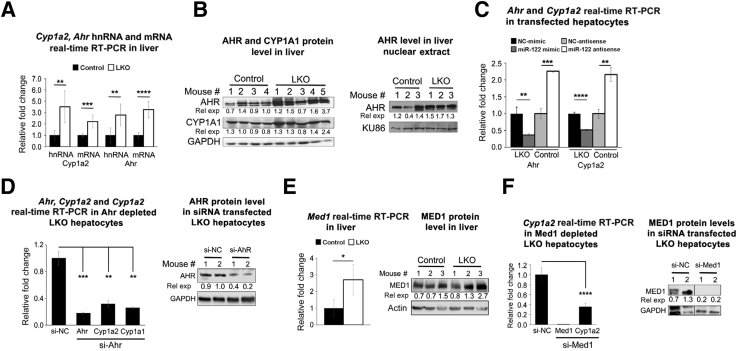 Figure 4