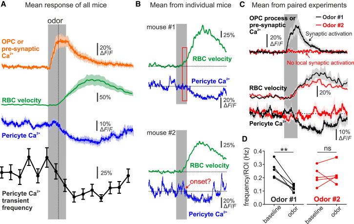 Figure 4