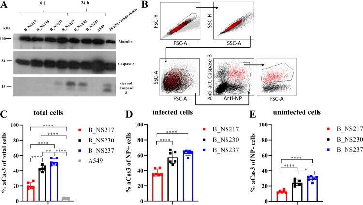 Figure 4: