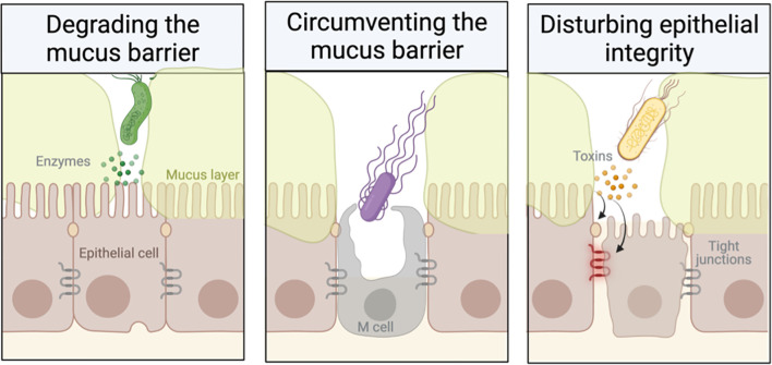 Figure 2