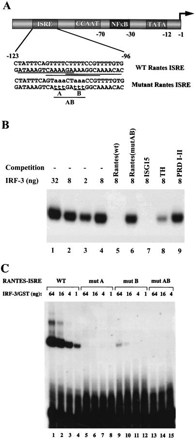 FIG. 3