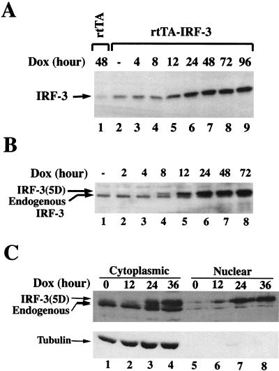 FIG. 1