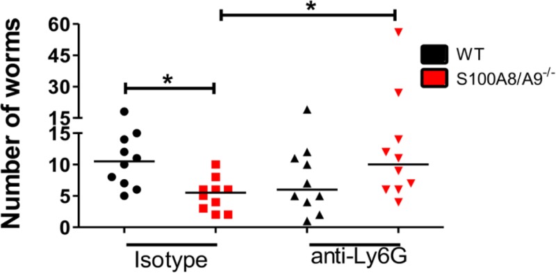 Fig 5