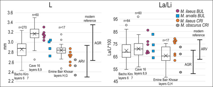 FIGURE 3