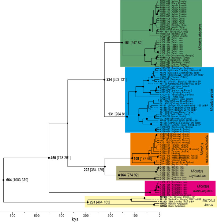 FIGURE 2