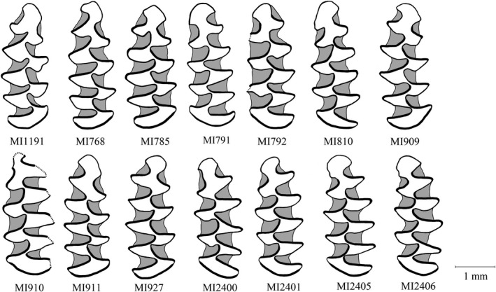 FIGURE 4